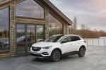 Vauxhall Grandland X Hybrid4 2020 года